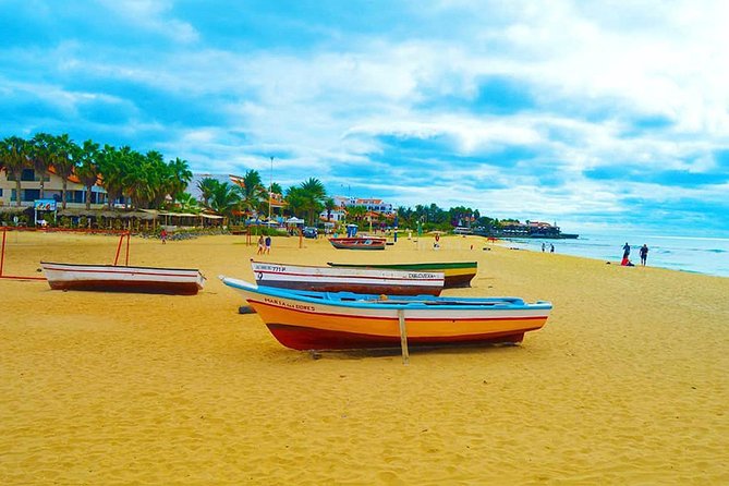 Sal Island: Full-day Private Experience with Local Guide - Why a private day is useful on Sal