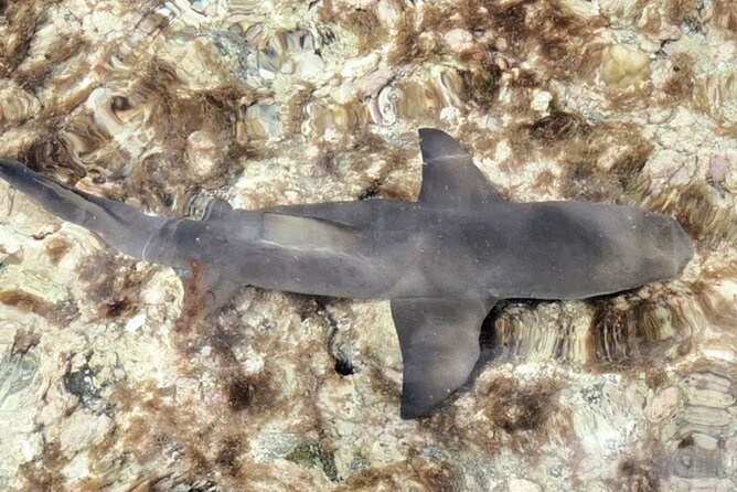 Sal Island: Full-day Private Experience with Local Guide - Espargos: Sal’s practical center