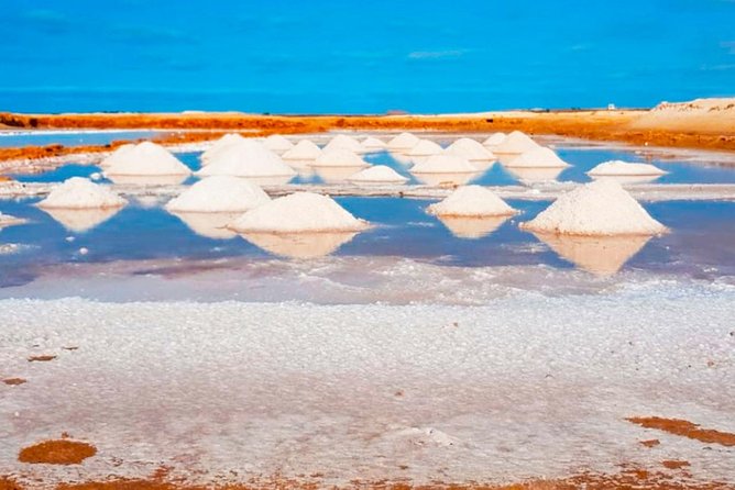 Sal Island: Guided Full-Day Highlights Tour with Lunch - Five reasons this Sal tour is worth considering