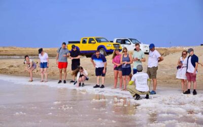 Guided Historical and Cultural Tour