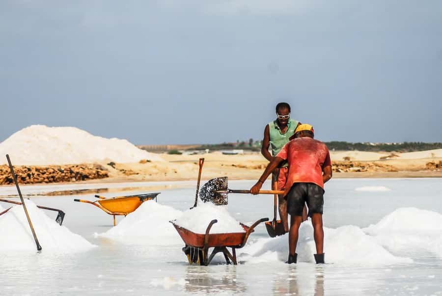 Sal island: Guided Historical and Cultural Tour - Santa Maria, read through its streets