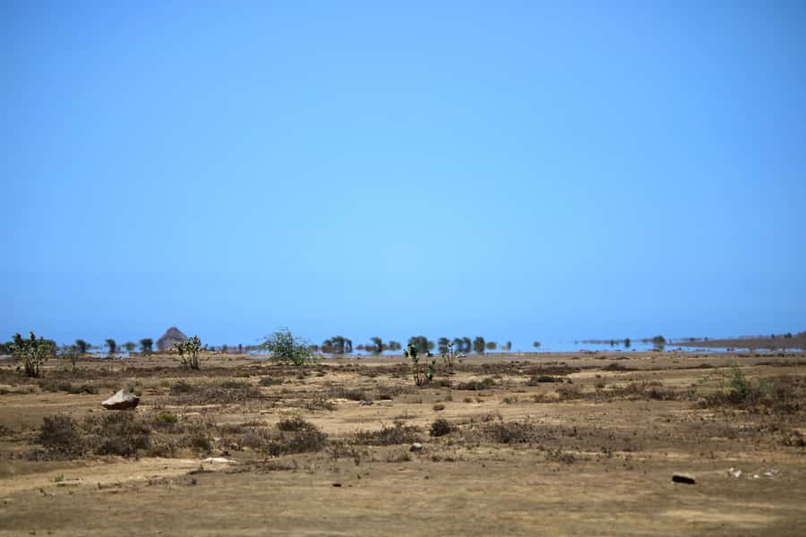 Sal Island, Salinas, Buracona and Lemon Shark - Palmeira, fishermen, and the restaurant stop