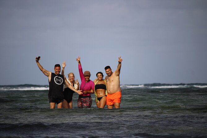 Sal Island, Salinas, Buracona and Lemon Shark - Why this Sal tour works well for first-time visitors