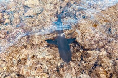 Salt Lake Tour, Shark bay & Pedra de Lume Village