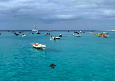 Santa Maria city tour, street art and tapas
