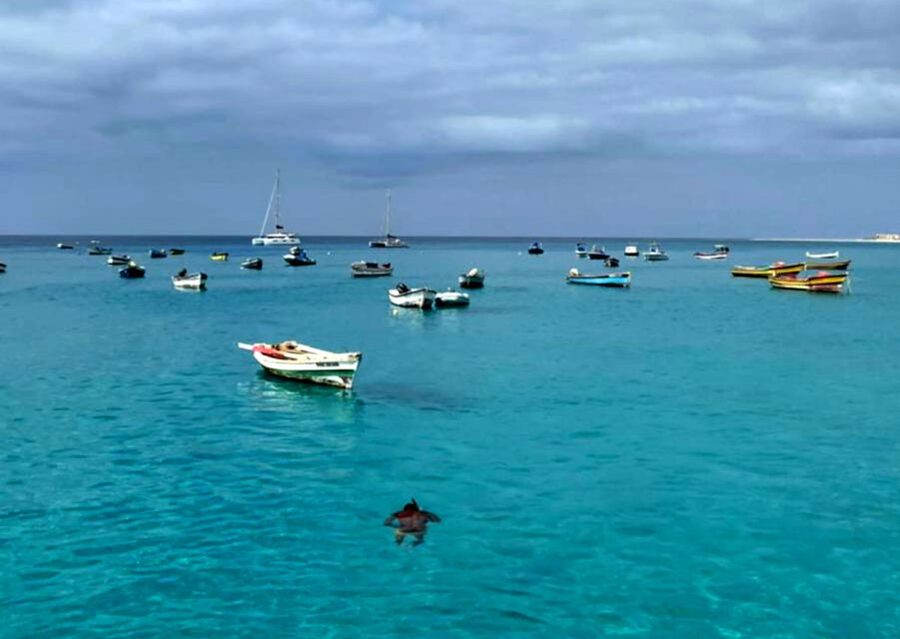 Sal island: Santa Maria city tour, street art and tapas - Walking through colorful walls and old Santa Maria streets