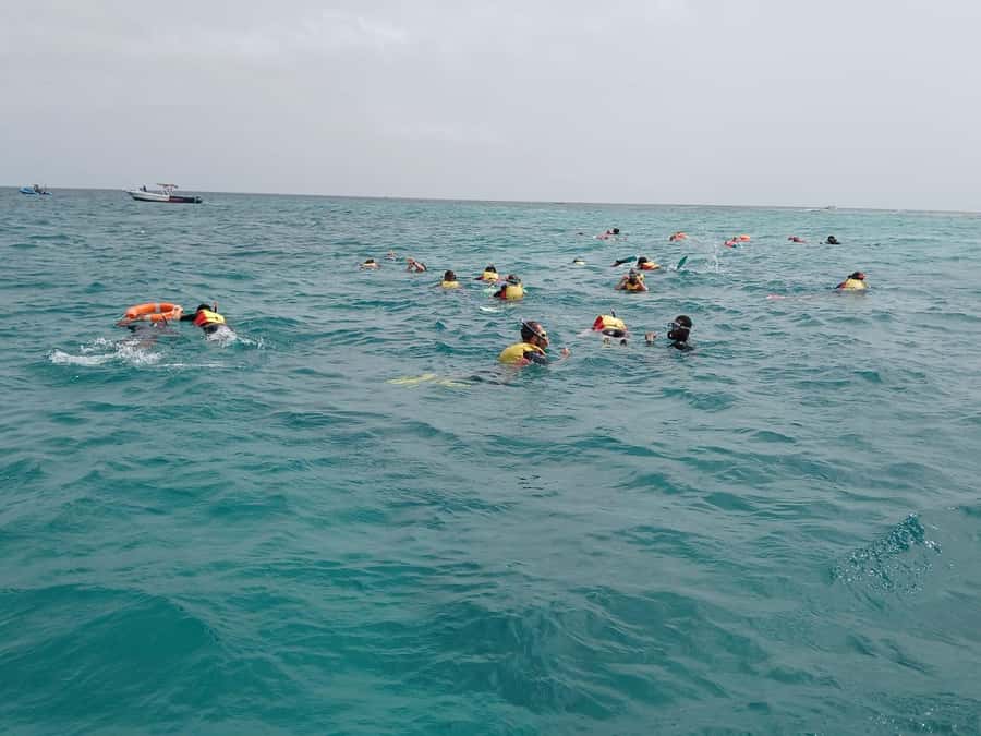 Sal Island: Santa Maria Snorkelling - Meeting Nando at Santa Maria Pier
