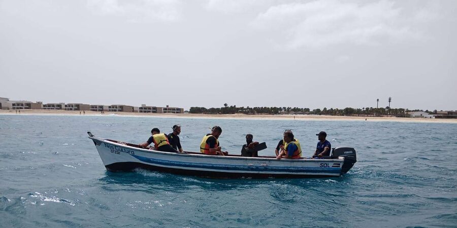Sal Island: Santa Maria Snorkelling - Who will enjoy this outing most?