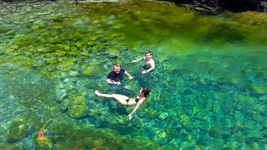 Sal island: Secrets of a Native Guide Day trip with Lunch - Shark Bay brings you close to lemon sharks