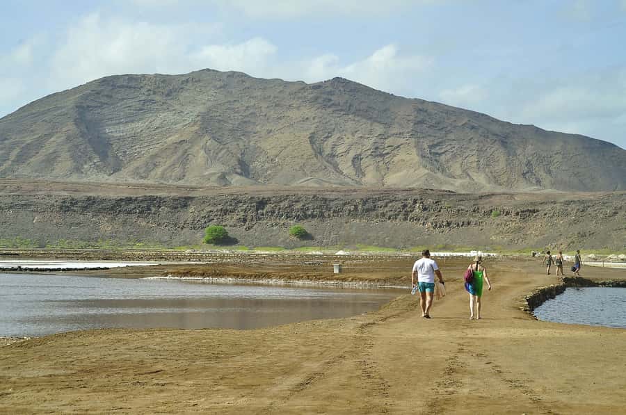 Sal: Lemon Shark Bay and Pedra de Lume Salt Lakes Tour - Two Sal attractions in one compact trip