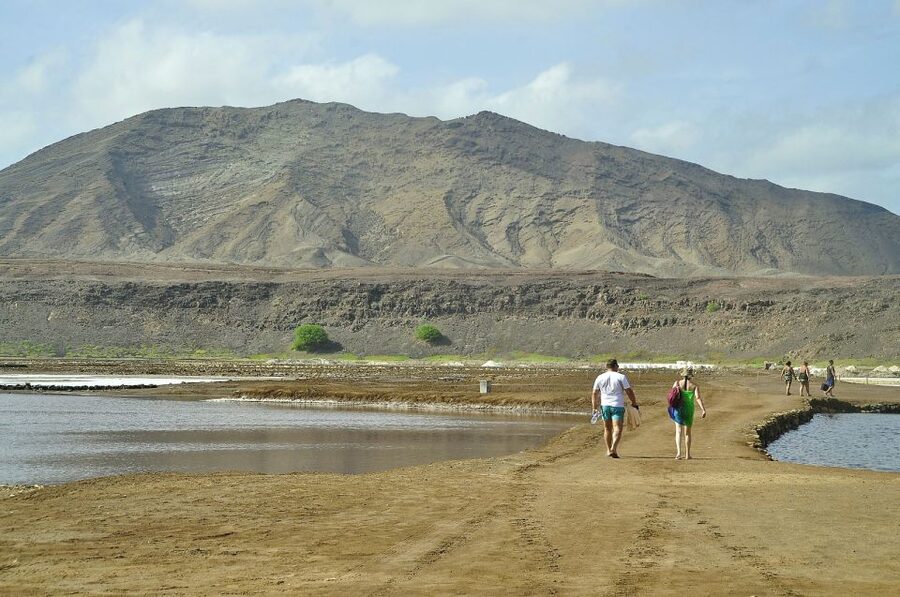 Sal: Lemon Shark Bay and Pedra de Lume Salt Lakes Tour - Who should book this Sal tour?