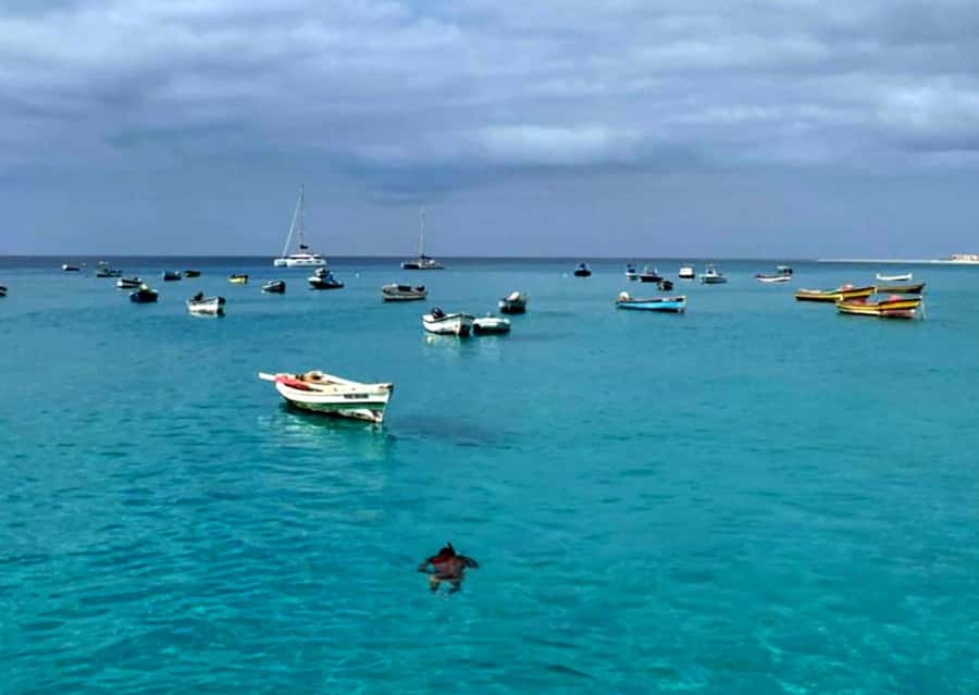 Sal: Private Tour Secrets of a native guide All-inclusive - Key points before you book