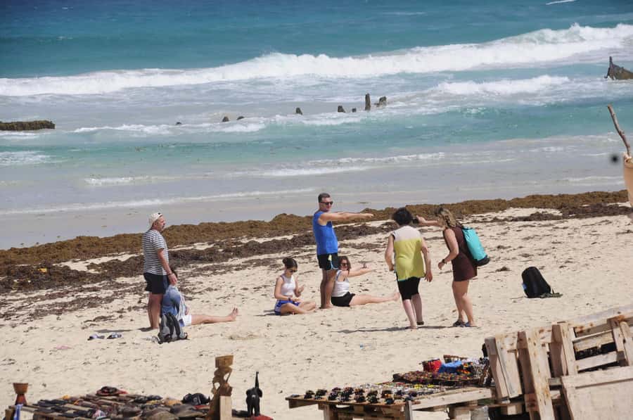 Sal Rei: Boa Vista Island Full-Day North to South Discovery - Why this day tour works for first-time visitors