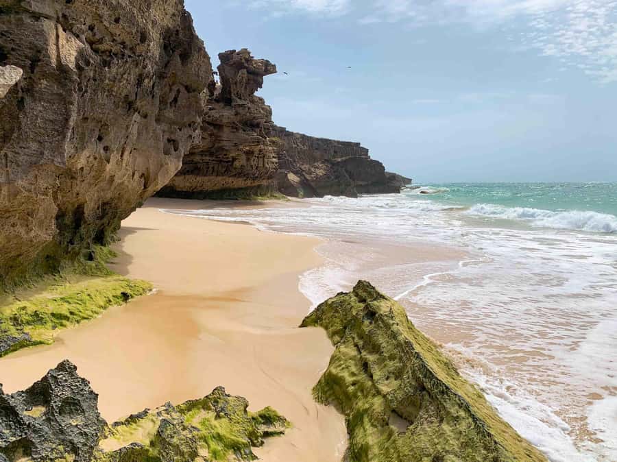 Sal Rei: Boa Vista Island Full-Day North to South Discovery - Santa Monica Beach: the best chance to slow down