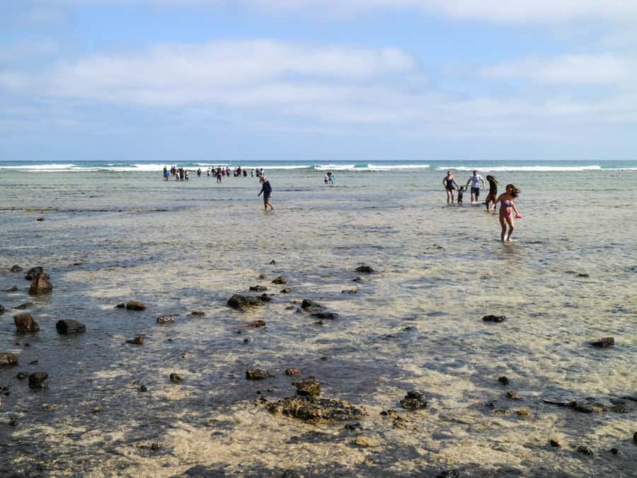 Salt Pans & Lemon Sharks Experience - From Shark Bay to Pedra de Lume