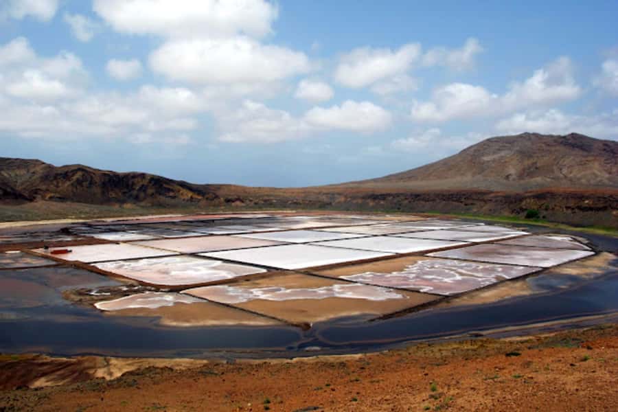 Salt Pans & Lemon Sharks Experience - What the $82 price really covers