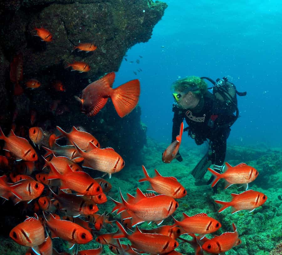 Santa Maria: Discover Scuba Diving - Key points to know before booking