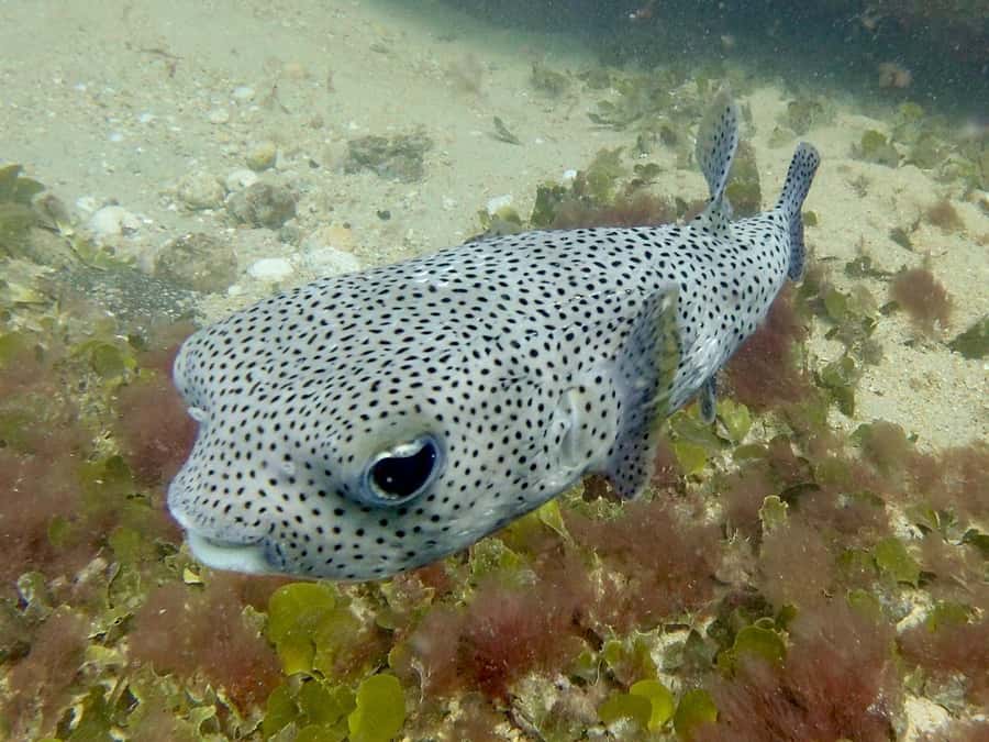Santa Maria: Guided Snorkeling and Reef Tour - Practical details that can make the day easier