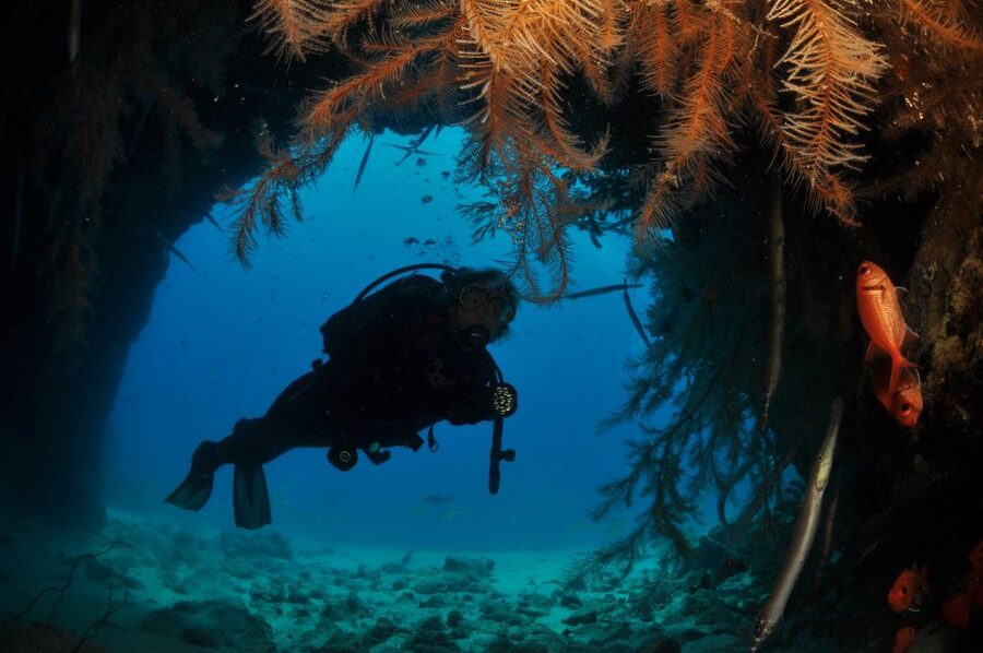 Santa Maria: Half-Day Diving Trip in Sal with Pickup - What the $114 price really covers