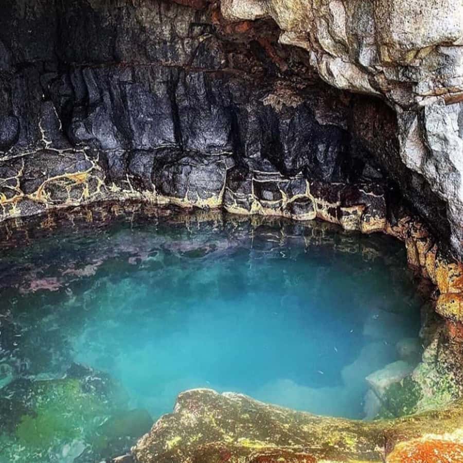 Santa Maria: Salt Mine, Natural Pool, and Shark Bay Tour - Lemon Shark Bay and the shallow-water encounter
