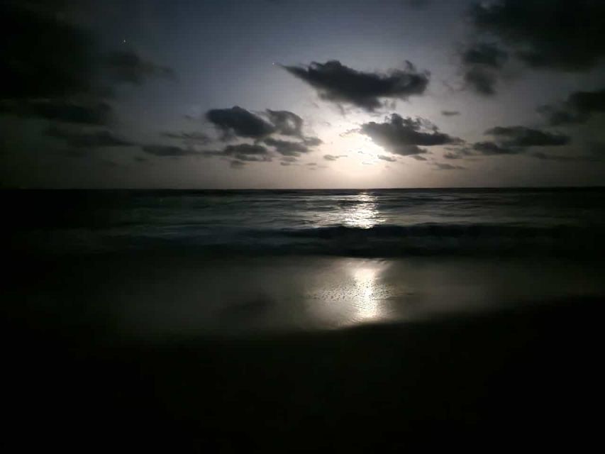 Santa Maria: Sea Turtle Watching Experience on Sal Island - The guides make the $41 worthwhile