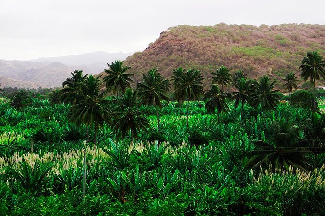 Santiago Island: Banana Plantation, Natural Park & Workshop with a local family - Leaving Praia for Santa Cruz