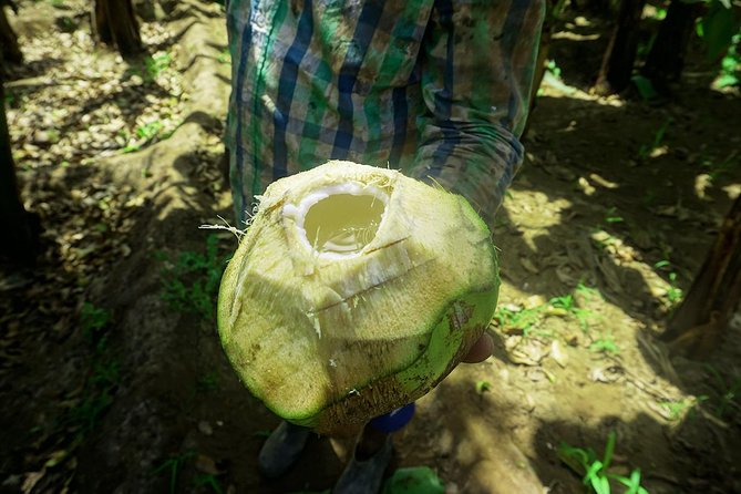 Santiago Island: Banana Plantation, Natural Park & Workshop with a local family - Is $87.14 a fair price?