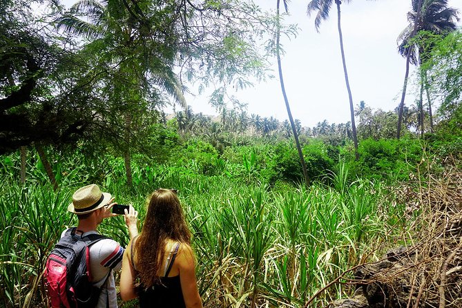 Santiago Island: Banana Plantation, Natural Park & Workshop with a local family - What to bring and what to expect