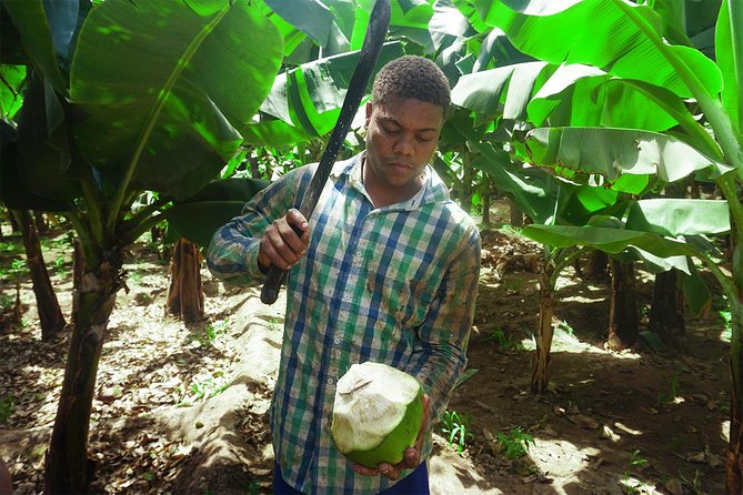 Santiago Island: Banana Plantation, Natural Park & Workshop with a local family - Who will enjoy this Santiago Island experience?