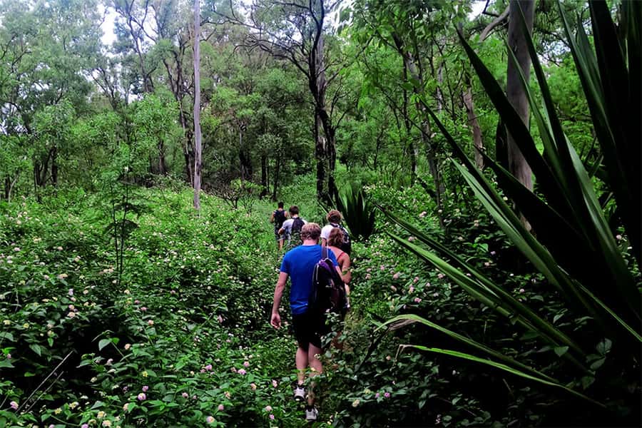 Santiago Island: Serra Malagueta & Tarrafal Beach Trek Tour - Who should book this tour?