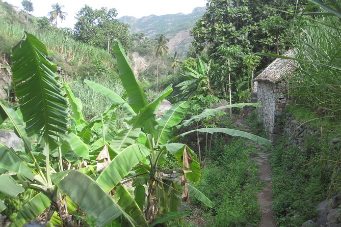 Santo Antão: Day Trip by Car or Trek - Pico da Cruz above the clouds