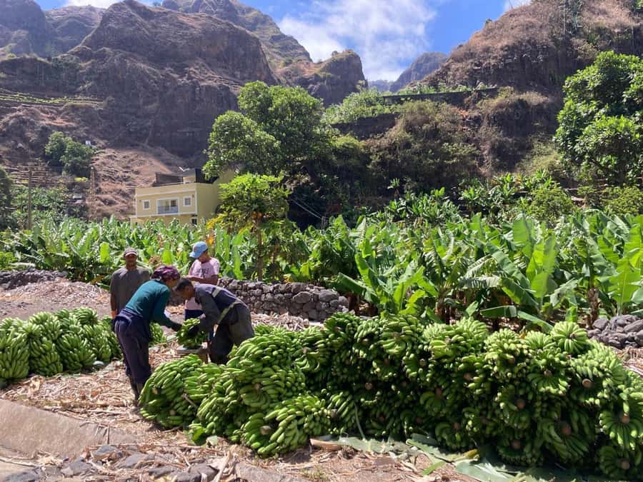 Santo Antão Highlights: Day Trip by Car with Ferry from SV - The best parts of the day at a glance