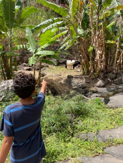 Santo Antão Highlights: Day Trip by Car with Ferry from SV