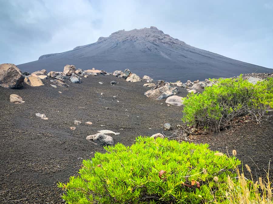 Sao Filipe: Coffee Plantation and Natural Pools Day Trip - Why this Fogo day trip works well