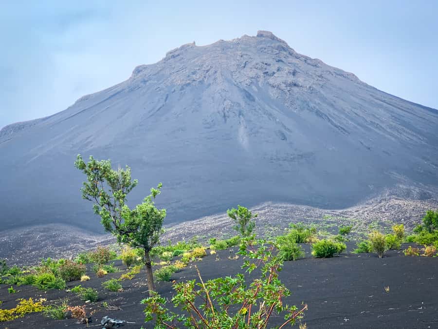 Sao Filipe: Coffee Plantation and Natural Pools Day Trip - Mosteiros, coffee, and the marks of the 1951 eruption