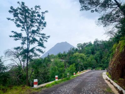 Coffee Plantation and Natural Pools Day Trip