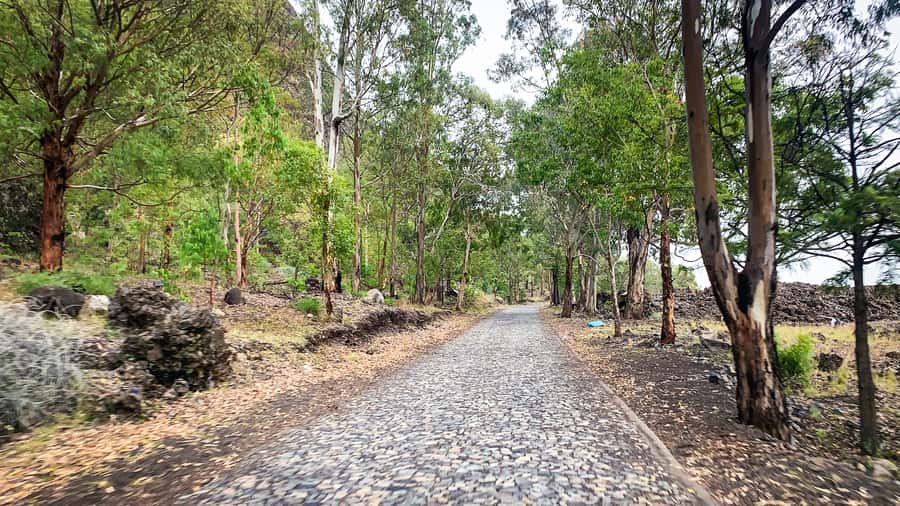 Sao Filipe: Coffee Plantation and Natural Pools Day Trip - Who should book this outing?