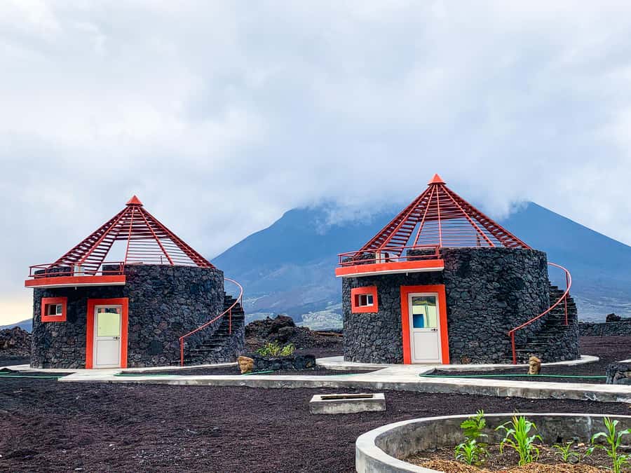 São Filipe: Fogo Volcano with Wine and Cheese Tasting - Five details worth knowing before you go