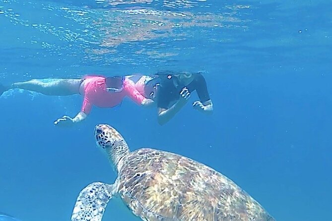 São Pedro experience (hiking & snorkeling with turtles) - Five good reasons to consider São Pedro