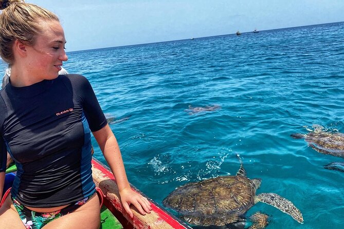 São Pedro experience (hiking & snorkeling with turtles) - White sand, clear water, and time in the bay