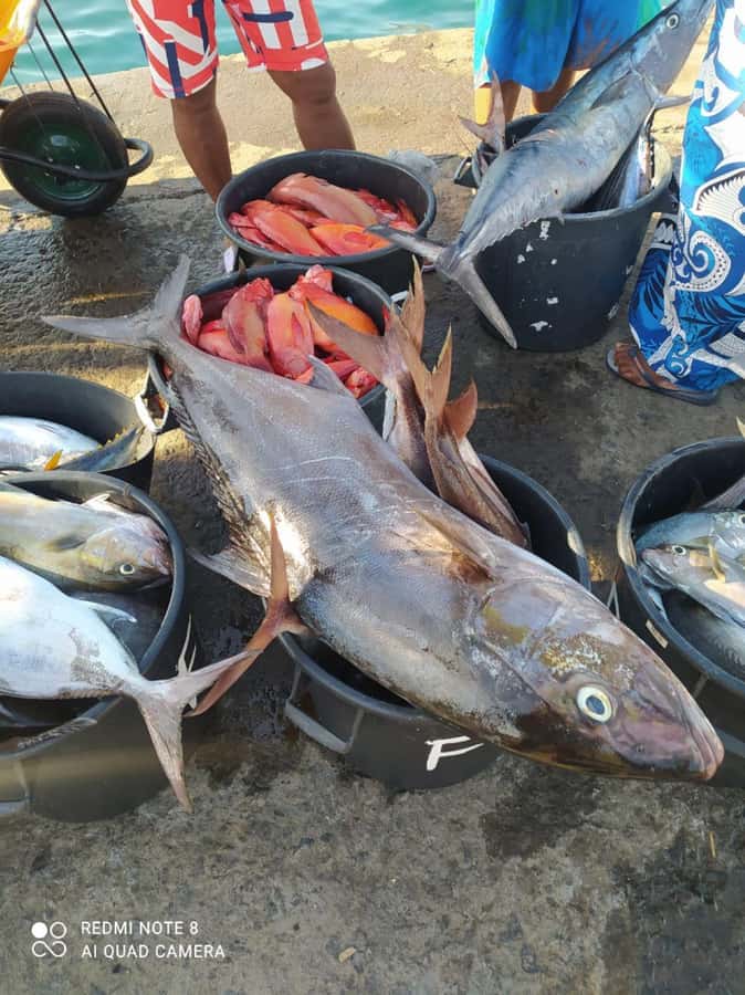 São Vicente Half Day - Mindelo: a compact introduction to São Vicente