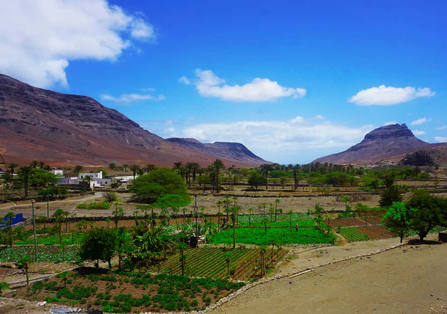 São Vicente Island: Full-Day Tour - Monte Verde Natural Park and the best views of the day