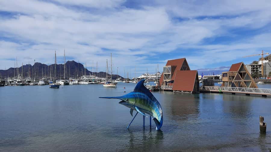 São Vicente: Markets, Beaches and Natural Park Tour - Key things to know before you go