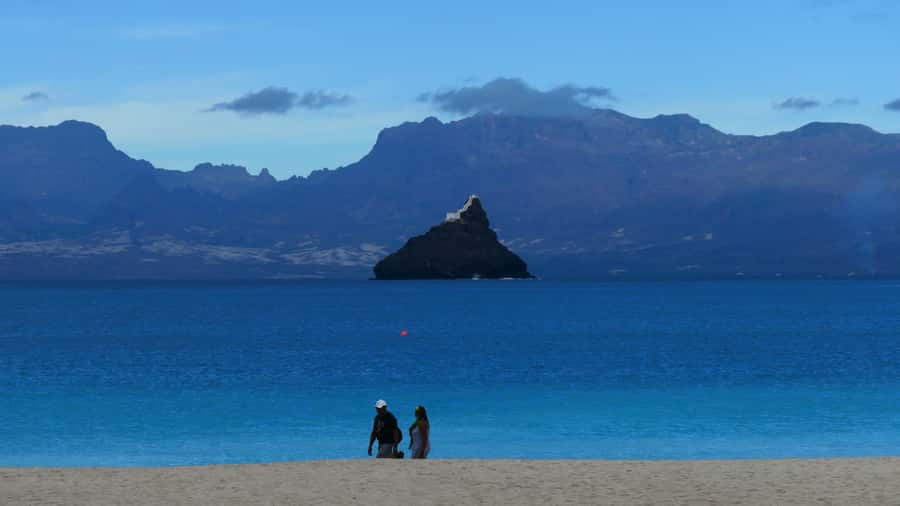São Vicente: Markets, Beaches and Natural Park Tour - Why this São Vicente tour works in four hours