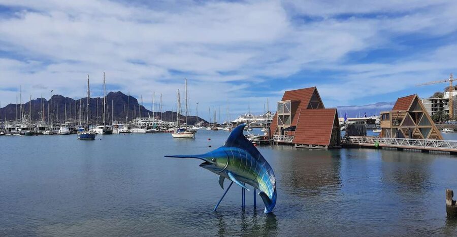 São Vicente: Markets, Beaches and Natural Park Tour - Timing, comfort, and practical limits
