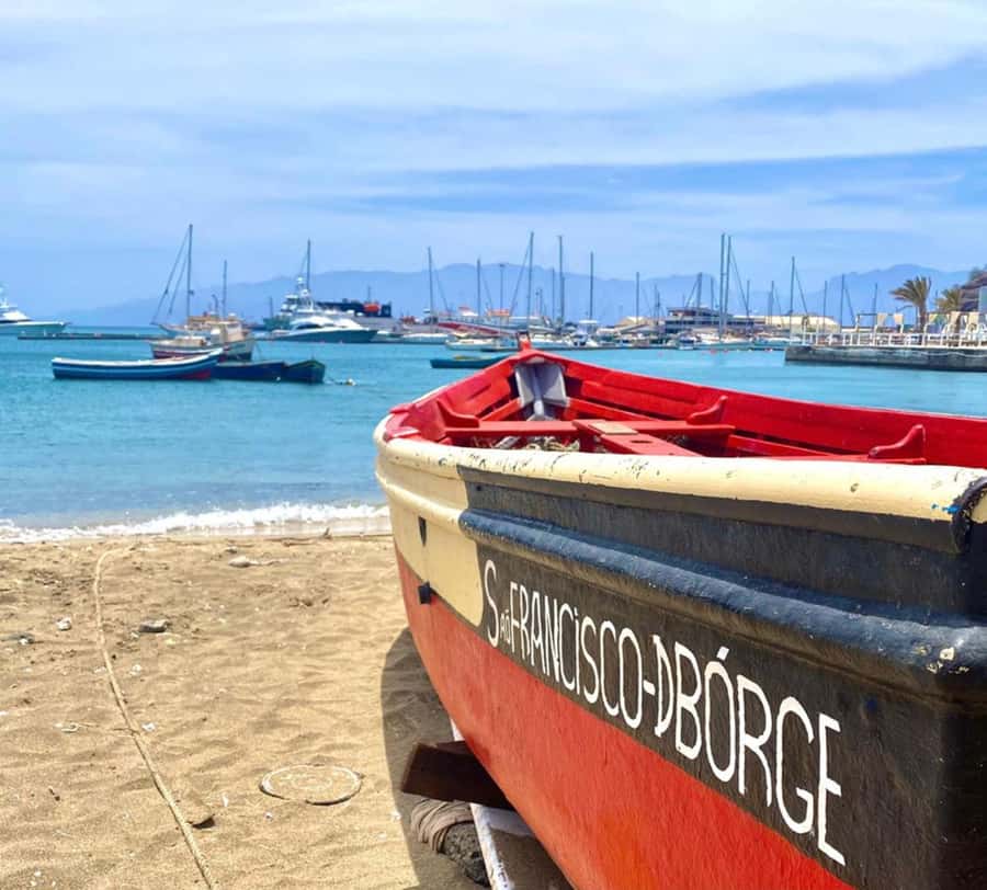 São Vicente: Snorkel with Sea Turtles Adventure - From your hotel to São Pedro