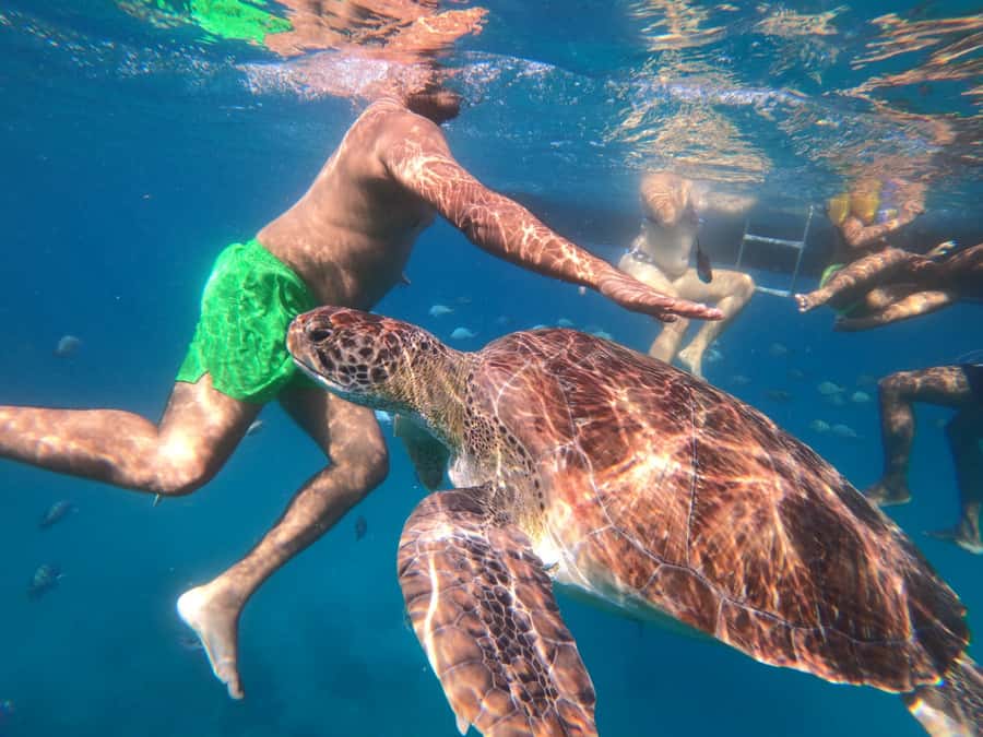 São Vicente: Snorkeling with Turtles Breathtaking Experience - The São Pedro briefing and equipment check