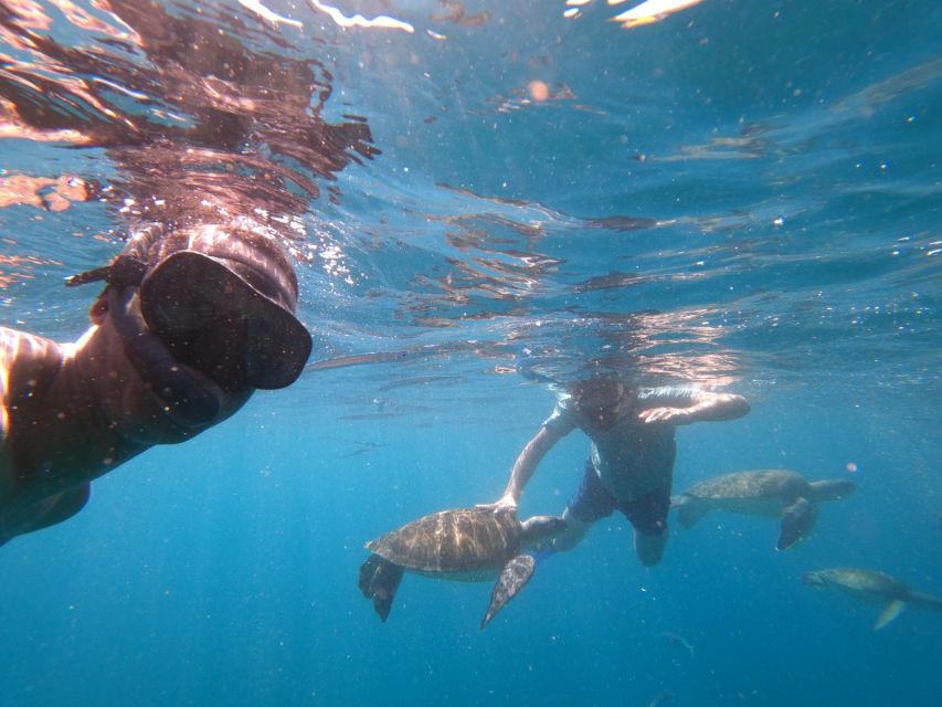 São Vicente: Snorkeling with Turtles Breathtaking Experience - Swimming beside green turtles