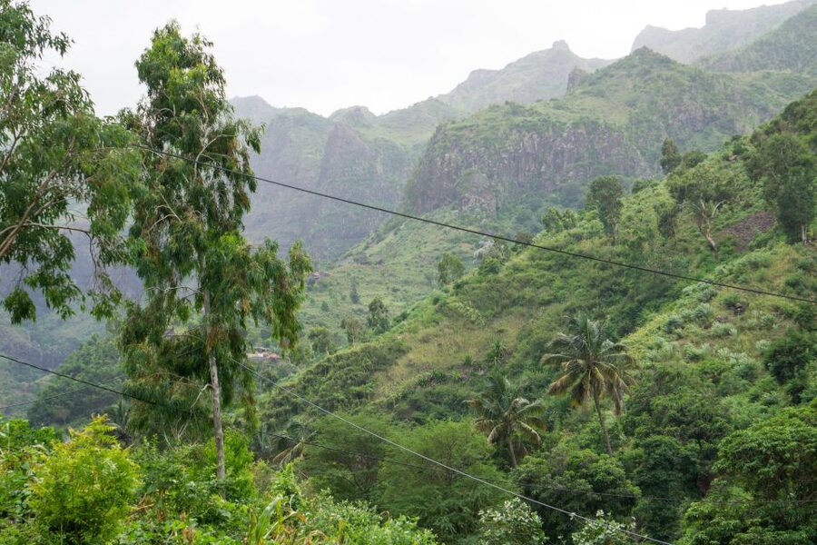 Serra Malagueta Natural Park: Hike to Gongon Valley & Lunch - The long descent through Gongon Valley