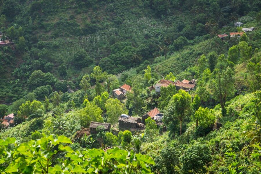 Serra Malagueta Natural Park: Hike to Gongon Valley & Lunch - How difficult is the Serra Malagueta hike?
